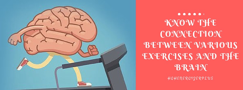 exercises and the brain