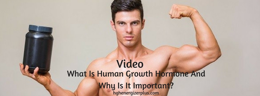 What Is Human Growth Hormone