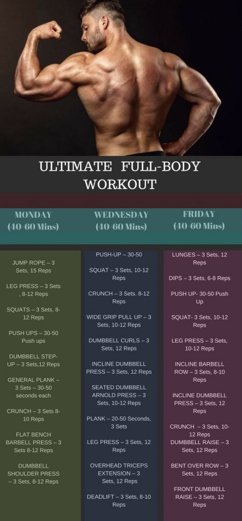 full body workout